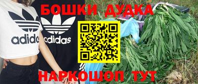 прущий лед Новозыбков