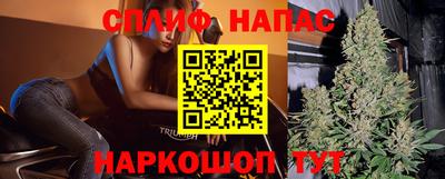 прущий лед Новозыбков