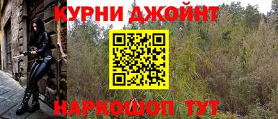 прущий лед Новозыбков