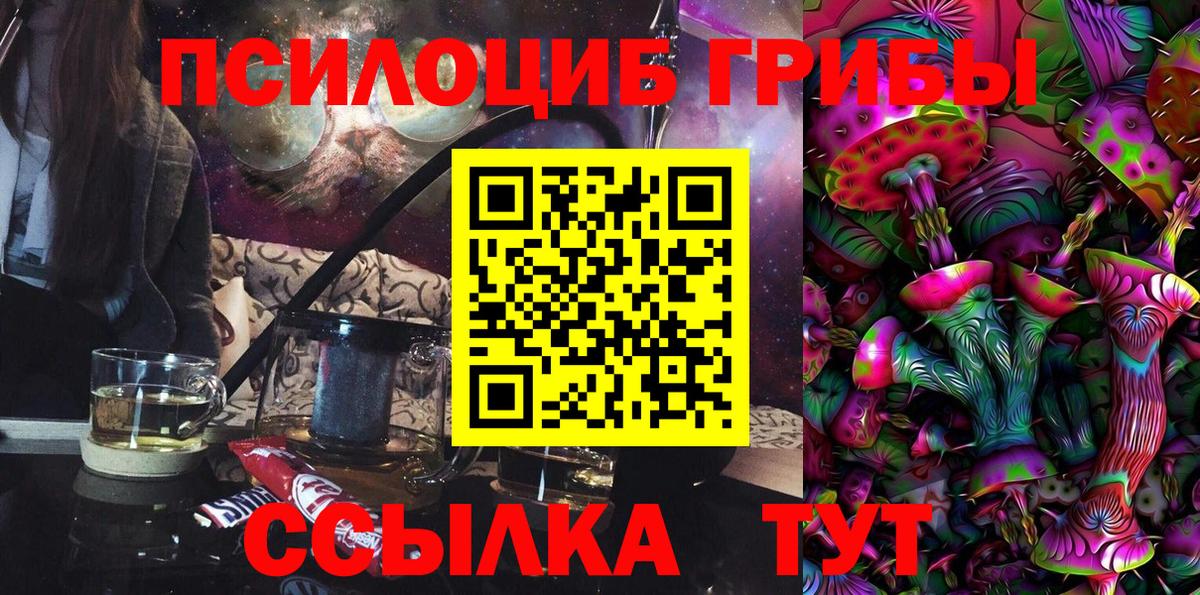 Ростов Великий  где найти   Вход с VPN  Псилоцибиновые грибы мицелий 